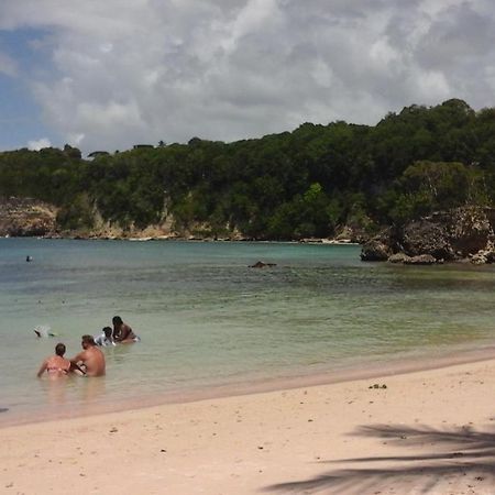 Appartement Les Pieds Dans L'Eau Le Gosier (Grande-Terre) Exterior foto